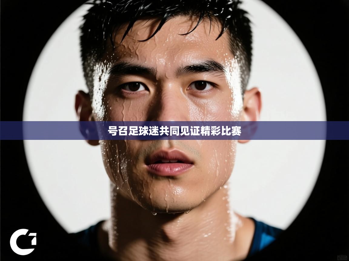 号召足球迷共同见证精彩比赛 第1张