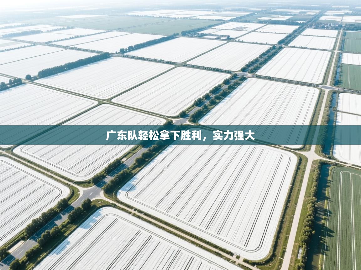 广东队轻松拿下胜利，实力强大