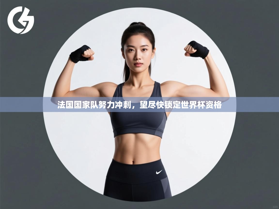 法国国家队努力冲刺，望尽快锁定世界杯资格  第2张